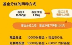 什么基金会有分红（什么基金有分红?）