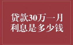 为什么要贷款30万（为什么贷款30万只有29万呢）