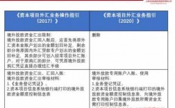 什么是境外放款（境外放款期限原则上应在几个月至几年内）