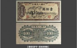 华夏人民币是什么（华夏人民是中国人吗）