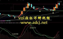 vol指标又叫什么（vol指标是什么）