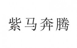 紫马什么意思是什么意思（紫马什么意思是什么意思啊）