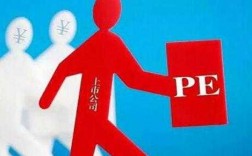 pe上市公司是什么意思（pe上市公司是什么意思呀）