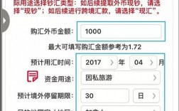 取外汇算什么业务（取外汇怎么取）