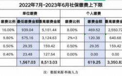 社保月缴费基数是什么（最新社保缴费比例）