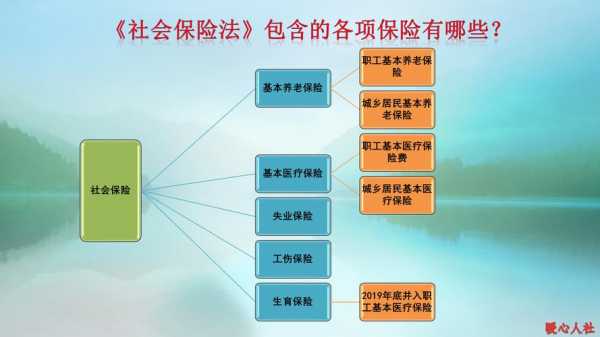 办理5险需要什么材料（办理5险需要什么材料呢）-图2