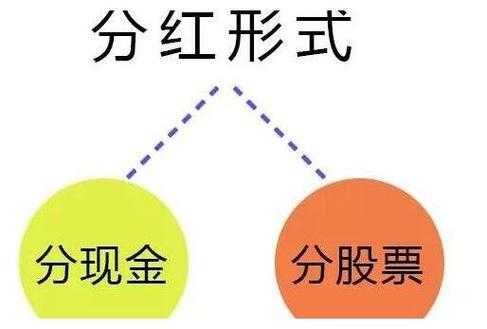 股票分红根据什么决定（股票分红分的到底是谁的利润）-图3