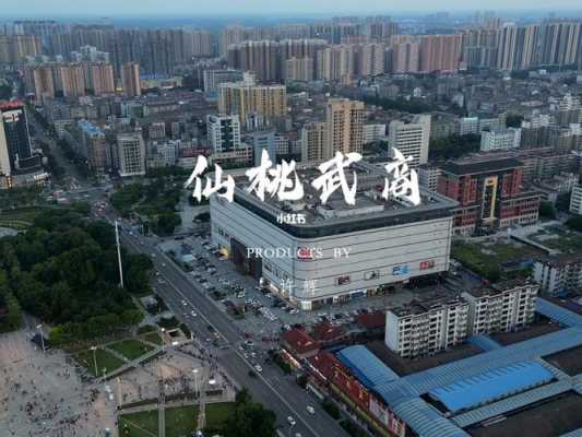 仙桃都有什么商业银行（仙桃市有哪些商场）-图3