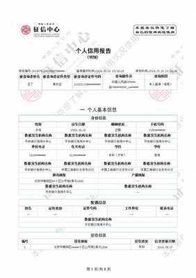 征信报告都能查什么（征信报告能查出什么）-图2