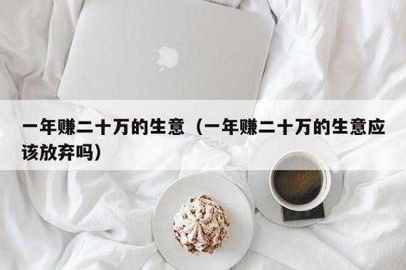 什么生意年收入20万（什么生意一年挣20万）-图2