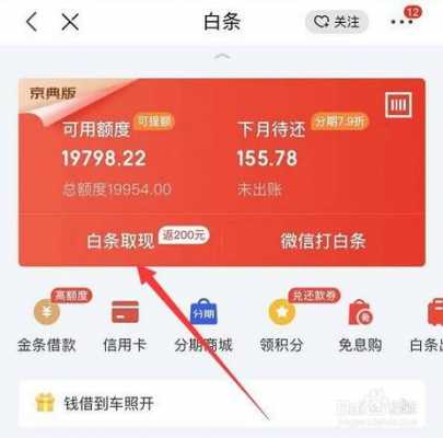 还有什么能白条（除了白条还有什么可以提现）-图2