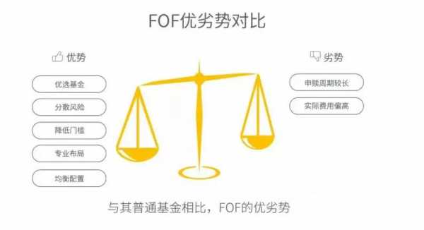 什么叫fof（什么叫fof产品）-图2