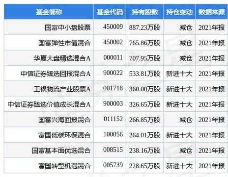 国富中小盘买了什么股（国富中小盘股票基金怎么样）-图1