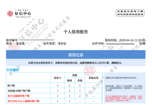 网查征信主要看什么（网查征信在哪里查）-图3