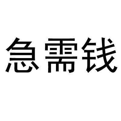 今天急需用钱有什么办法（我现在急需用钱怎么办）-图3