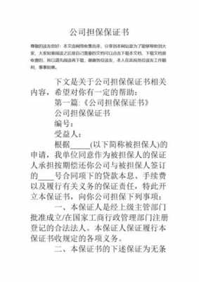 什么东西能作为担保（什么东西能作为担保方式）-图2