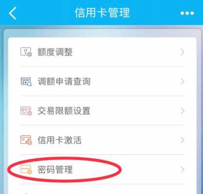 信用卡怎么支付密码是什么（怎么改信用卡支付密码修改）-图2