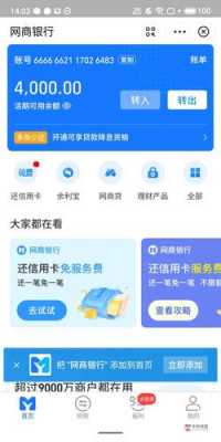 网商贷的卡是什么（网商贷有卡号吗）-图2