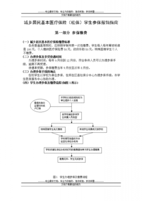 报销学生保险什么材料（学生保险报销程序）-图3