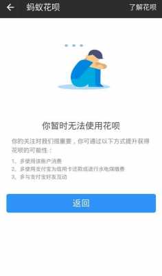 为什么花呗老不提额（为什么花呗就是不提额）-图1