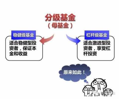 什么是分级基金权限（什么是分级基金权限业务）-图3