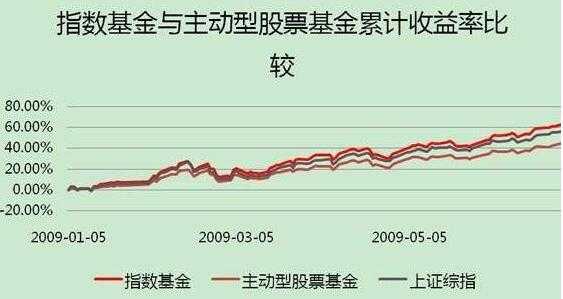 指数型基金有什么风险（指数型基金的风险高吗）-图2