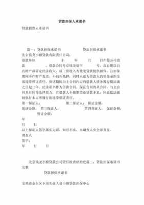 贷款担保人需要什么证件（作为贷款担保人需要提交什么材料）-图1