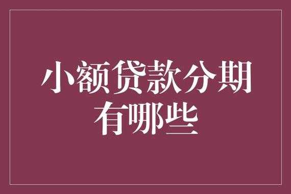 什么小额贷款容易过（什么小额贷款额度高）-图2