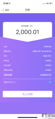 什么软件借款能借100万（什么软件借款能借100万元）-图3