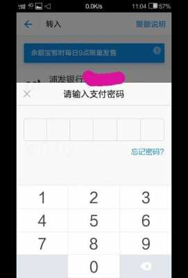 什么是银行支付密码是什么（什么是银行支付密码是什么密码呢）-图3