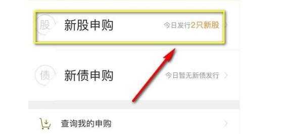 个人打新股为什么没数量（股票打新为什么没有额度）-图2