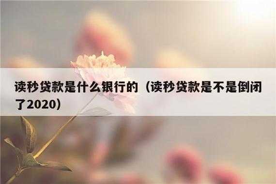 读秒贷款是什么银行的（读秒贷款是哪个公司的）-图2