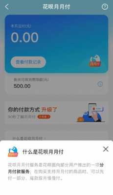 花呗免息靠什么赚钱（花呗免息是不是免手续费）-图3