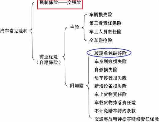 险司是什么（车险司乘是什么）-图2