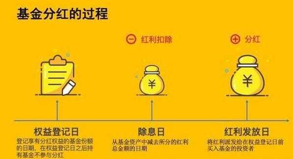 什么基金会有分红（什么基金有分红?）-图3