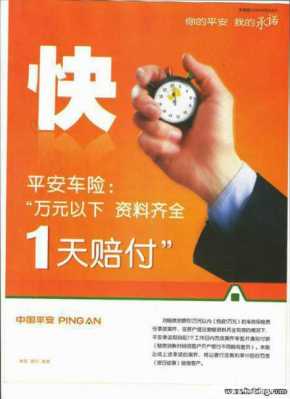 平安出行险是叫什么（平安出行险有必要买吗百度知道）-图1