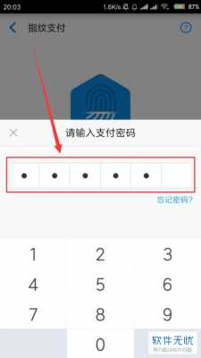 支付密码是什么呀（支付密码是指什么密码）-图3