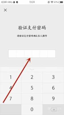 支付密码是什么呀（支付密码是指什么密码）-图1