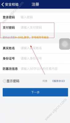 支付密码是什么呀（支付密码是指什么密码）-图2