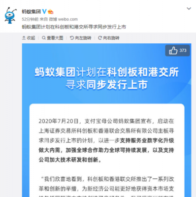 蚂蚁ipo什么时候申购（蚂蚁ipo是什么时候）-图3