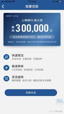上海银行下有什么贷款产品（上海银行都有哪些贷款平台）-图2