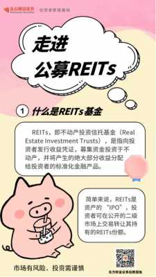 reits基金是什么（reits基金?）-图3