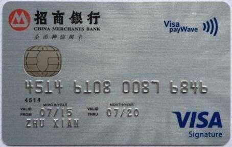 什么银行的visa（什么银行的visa卡好办）-图3