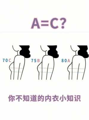 是a和c什么（a和c表示什么）-图3